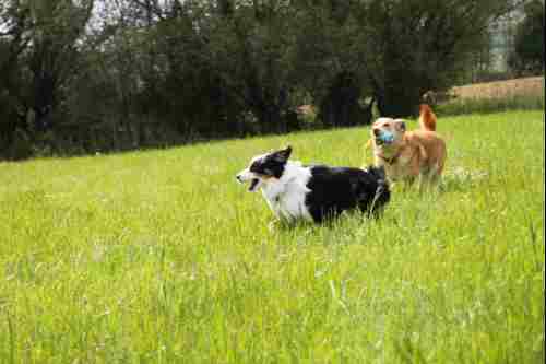 Cookie uns Sari haben Spa&szlig;